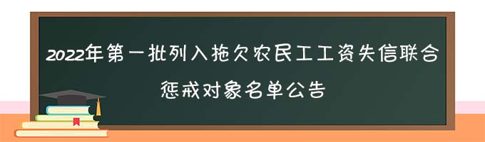 玉溪市红塔区人力资源  和社会保障局2022年第一批列入拖欠农民工工资失信联合惩戒对象名单公告