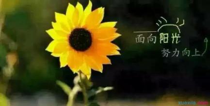 职场中你需要这三句箴言