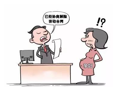 高院:怀孕并非女职工的免责金牌
